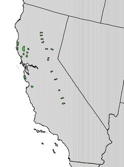 Torreya californica range map cropped.jpg