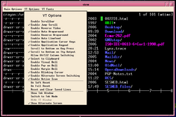 Xterm terminal emulator