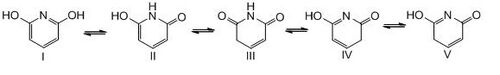 2,6-dihyrdroxypyridine tautonomers.JPG