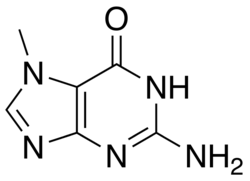 7methylguanine.png