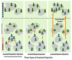 Assisted migration 3 types 2022.jpg