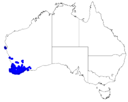 Boronia crenulata DistMap27.png