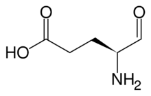 Glutamate-1-semialdehyde.svg