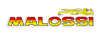 Malossi company logo