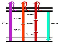 MultiPhotonExcitation-Fig1-doi10.1186slash1475-925X-5-36.JPEG