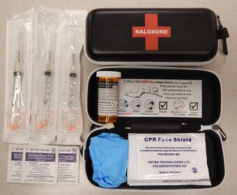 NaloxoneKit.jpg