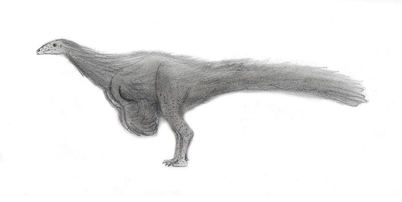File:Nqwebasaurus.jpg