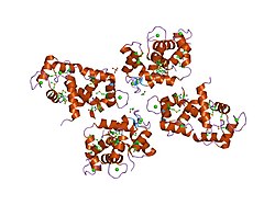 PDB 1niw EBI.jpg