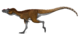 Qianzhousaurus sinensis by PaleoGeek.png