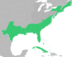 Symphyotrichum tenuifolium distribution map: Bahamas, Cuba, and US (Alabama, Connecticut, Delaware, Florida, Georgia, Louisiana, Maine, Maryland, Massachusetts, Mississippi, New Hampshire, New Jersey, New York, North Carolina, Rhode Island, South Carolina, Texas, and Virginia).