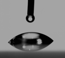 Side view of a very wide, short drop of water with a low contact angle.