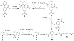 Zincke Reaction Mechanism2.png