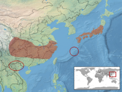 Achalinus spinalis distribution.png