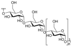 Amylose 3Dprojection.svg