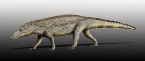 Armadillosuchus NT.jpg