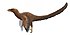 Bambiraptor reconstruction (flipped).jpg