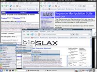 Bioslax-SS8.jpg