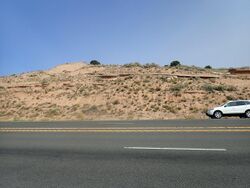 Cerro Conejo Formation in road cut.jpg