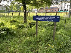 Overgrown grass with a blue sign that reads "This grass is managed by cutting 3-4 times a year to encourage wild flowers and grasses. It is used for ecology training."