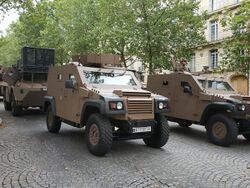 PVP, Armée de terre - 14 juillet 2021 (4).jpg