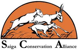 Saiga Conservation Alliance Logo.jpg