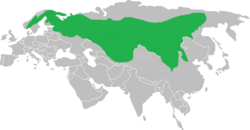 Siberian jay distribution.png