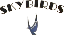 Skybirds brand logo.png