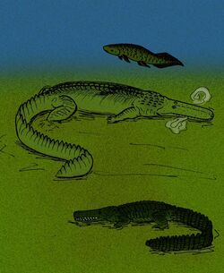 Stomatosuchus inermis.jpg