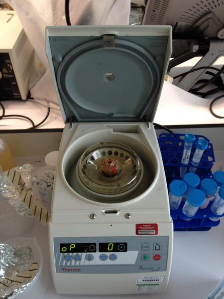 File:Thermo centrifuge.JPG