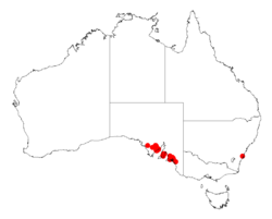 Acacia rhetinocarpaDistMap764.png