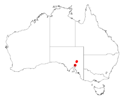 Acacia spooneriDistMap845.png