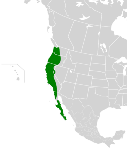 Aphelocoma californica map.svg