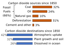 Carbon Sources and Sinks.svg
