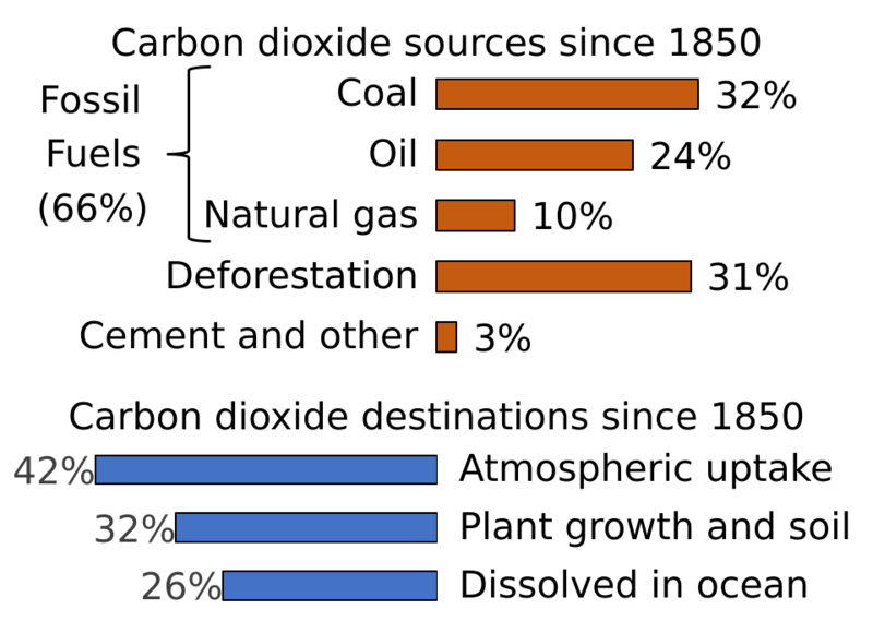 File:Carbon Sources and Sinks.svg