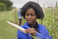 Agronomist, Zimbabwe checks the crop