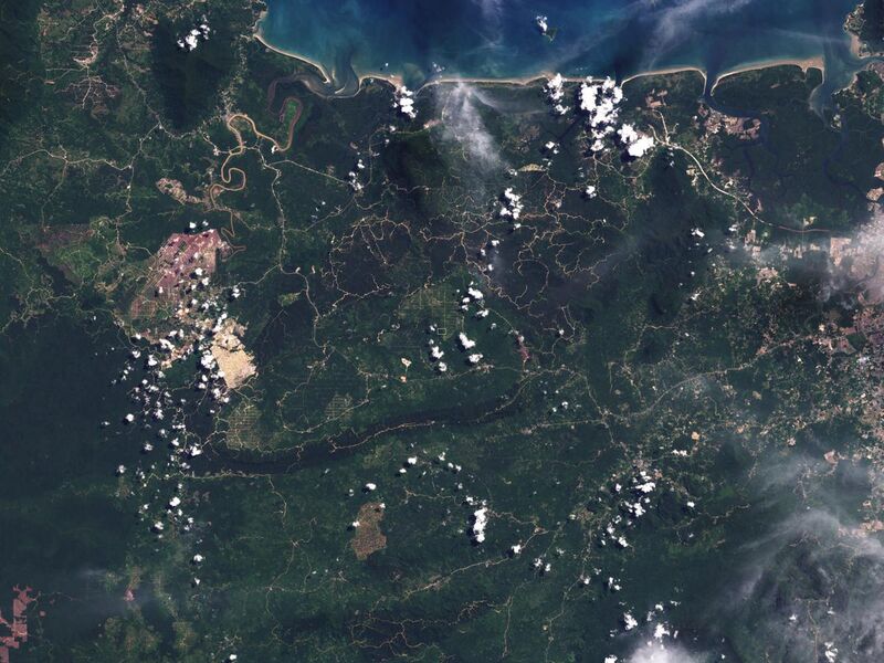File:Deforestation in Malaysian Borneo.jpg