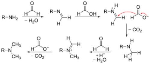 The mechanism of the Eschweiler–Clark reaction