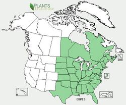 Eupatorium perfoliatum range map.jpg