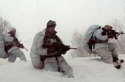 Flickr - Israel Defense Forces - Soldiers in Deep Snow.jpg