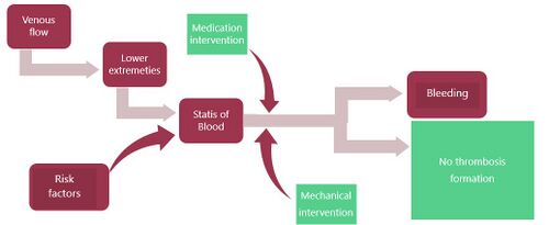 Flow chart of clot prevention.jpg
