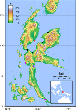 Habroptila wallacii halmahera map.png