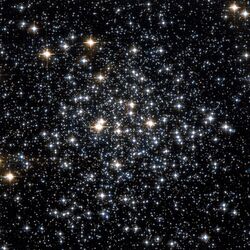 Several hundred stars of different brightnesses and colours scattered on a black background