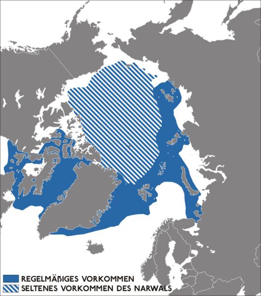 File:Narwhal distribution map.png