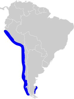 Phalacrocorax gaimardi map.svg