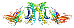 Protein HFE PDB 1a6z.png