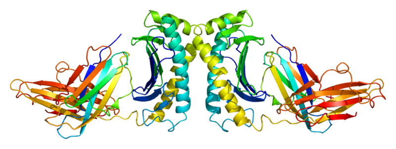 File:Protein HFE PDB 1a6z.png