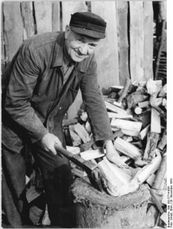 Bundesarchiv Bild 183-27714-0001, Cottbus, Westflüchtling beim Holzhacken.jpg