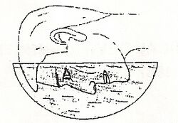 Da Vinci's method of corneal neutralization.jpg