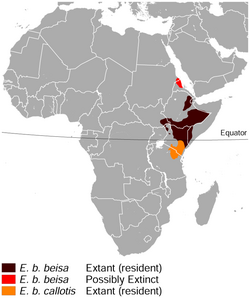 East African oryx Oryx beisa distribution map.png