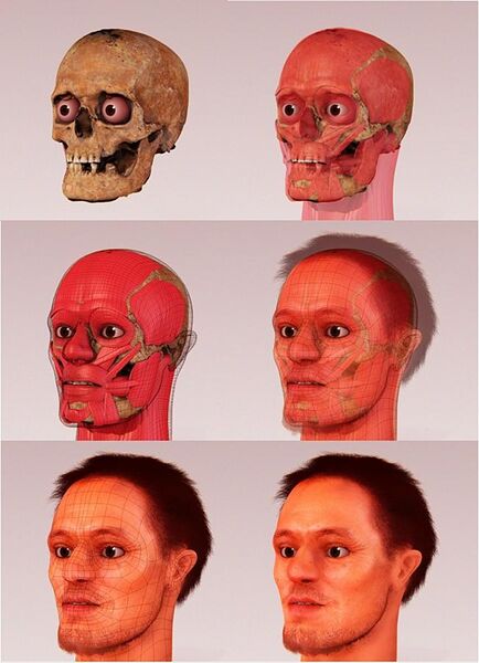 File:Forensic facial reconstruction of Alberto di Trento.jpg